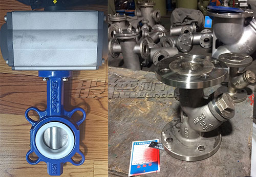 印尼客戶從般德采購蝶閥、止回閥、球閥等