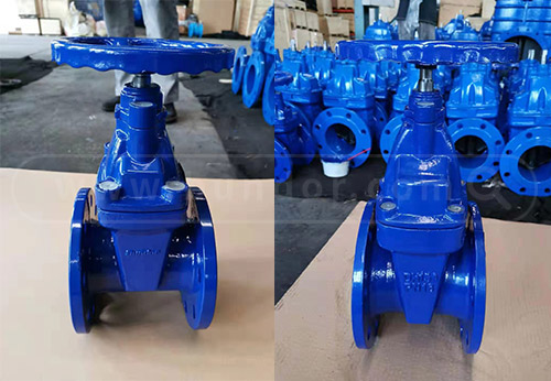 般德軟密封閘閥、過(guò)濾器出口柬埔寨