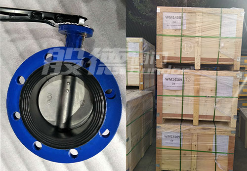 般德蝶閥、止回閥產(chǎn)品出口印度尼西亞