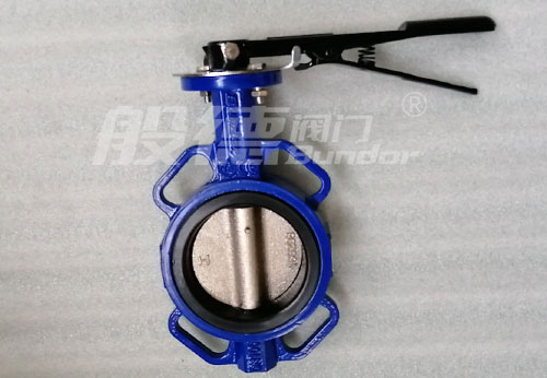 般德蝶閥、止回閥、閘閥產(chǎn)品出口柬埔寨