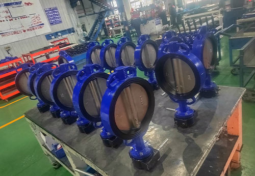 般德閥門(mén)中線軟密封對(duì)夾蝶閥出口波蘭