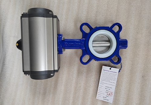 般德波紋管截止閥、對夾蝶閥產(chǎn)品出口印尼